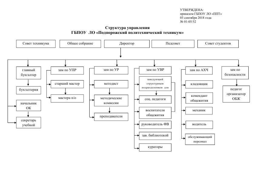 Организационная структура ооо спортмастер в виде схемы